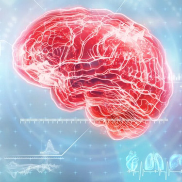 Specialty_5 Neurosurgery & Neurology